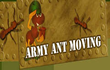 Army Ant Moving Inc